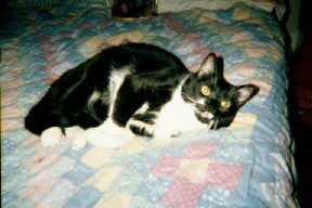 Annie on bed