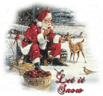 SANTA FEEDING THE ANIMALS
