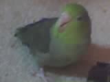 12-02-05_1058 12-02-05_1058