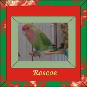 Roscoe's frame made larger 300 wid & hgt