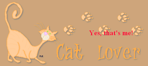 amg-lbl-cat3-1-forstat-111