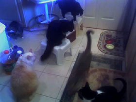 dinner time