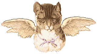 vicangelCATWINGS